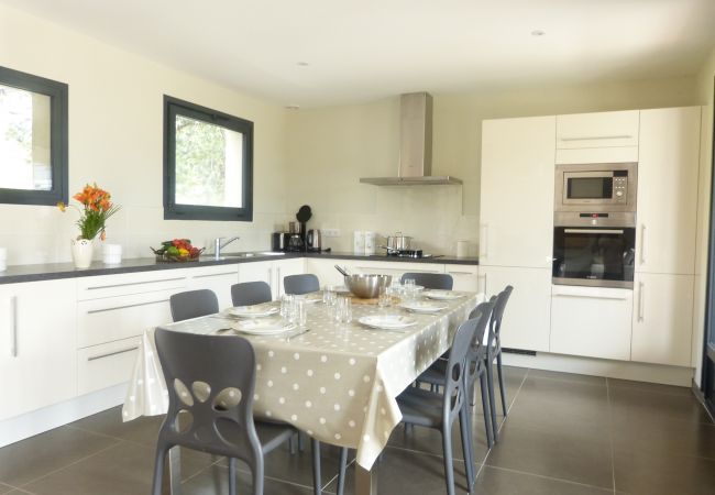 Maison à Mollans-sur-Ouvèze - MAISON 212 HAUT Maison à Mollans-sur-Ouvèze - MAISON 212 HAUT